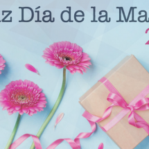 FELIZ DÍA DE LAS MADRES